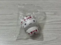 ねこぱんつ しろ