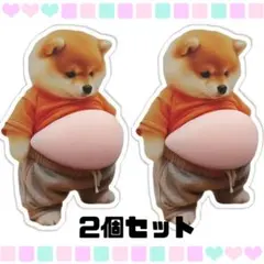 新品未開封品 柴犬　お腹　おなか　ぷにぷに シール スティッカー　2個セット