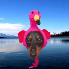 フラミンゴ帽子《ペット用》