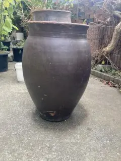 2026年最新】水瓶 特大の人気アイテム - メルカリ