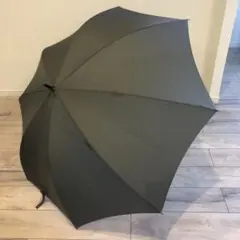 Item thumbnail for item 97ed6aa9-3316-4341-bc45-25b0150d13a1