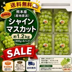 シャインマスカット 粒 岡山産 2.4キロ - メルカリ