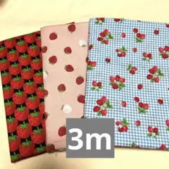 いちご柄生地セット（3枚）本日のみ 子育て応援