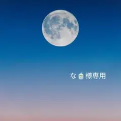 専用出品