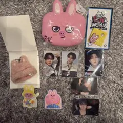 Stray Kids スキズ チャンビン トゥエッキ　セット