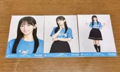 乃木坂46 生写真 池田瑛紗 コンプ 2024 愛知 ライブT