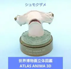 【海洋堂】世界博物画立体図鑑ATLAS ANIMA 3D 01 シュモクザメのサムネイル
