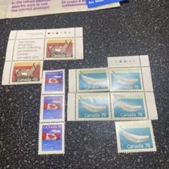 Item thumbnail for item 4941adbd-e5fc-4c08-b4cc-301d8e962175