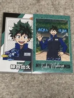 緑谷出久 八景島シーパラダイス トレーディング風フォトカード