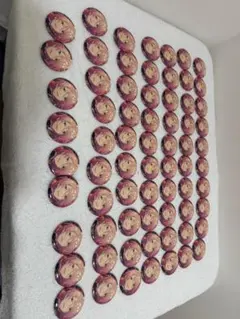 あんさんぶるスターズ 白鳥藍良 缶バッジ69個