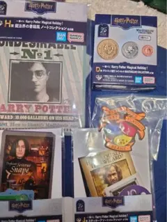 一番くじ　ハリーポッター　グリンゴッツ銀行コインセット　D賞