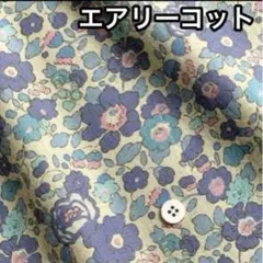 Item thumbnail for item f60c44b5-9748-4460-a870-b5a57ed9a5fa