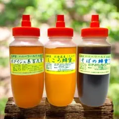 希少北海道産 特選生はちみつ そば蜜 ボダイジュ百花 各300g2本セット