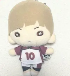 ハイキュー にとたん ぬいぐるみ 白布 にとたん/ハイキュー!! ボールチェーン付ぬいぐるみ/白布｜商品
