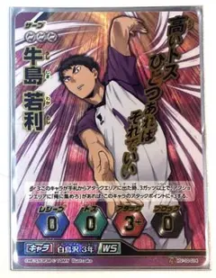 シ*ン様 ハイキュー バボカ 10弾 頂レア 牛島若利 ②