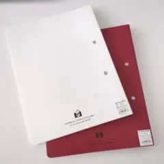 Item thumbnail for item 77b8cb48-38dd-4000-a1b9-5216f8713f55