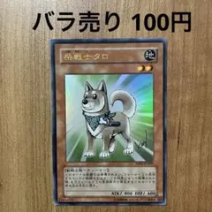 【哭きの竜12599】柴戦士タロ（ウルレア）YAP1