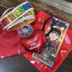 EXILE THE REASON SEKAIグッズ