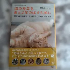 猫の寿命をあと2年のばすために 獣医師が教える、愛猫と長く一緒にいる方法 QU…