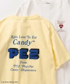 別注【PEZ】ヴィンテージライクTシャツサガラ刺繍のサムネイル