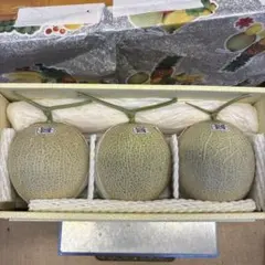 高知特産 食べごろ温室メロン 5玉 化粧箱入り箱込み9.5キロ九 - メルカリ