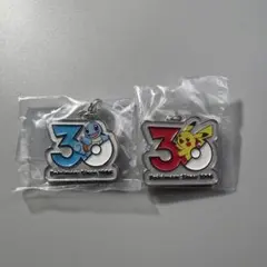 ポケモン 30周年 メタルチャームマスコット ピカチュウ ゼニガメ