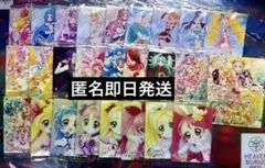 プリキュア ウエハース 9 セミコンプ 25種 セット 9弾 わんだふる