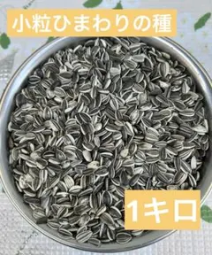 Item thumbnail for item a6f91133-5aad-453f-ad99-4f5f8148de68