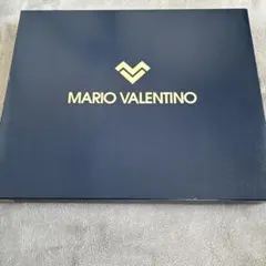 マリオバレンチノのソックスのサムネイル