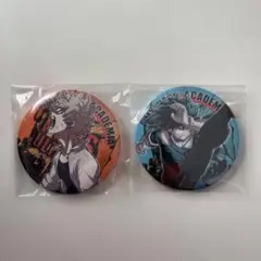 ヒロアカ 爆豪勝己・緑谷出久 コレクション缶バッジセット