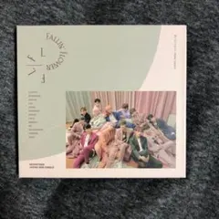 即購入◎ 特典付き SEVENTEEN 舞い落ちる花びら
