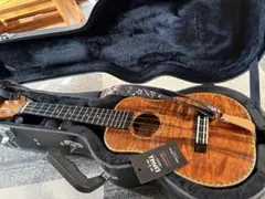 Item thumbnail for item 6b73673f-c77f-4de7-903f-b4d9bfc17c5e