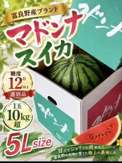 北海道富良野ブランドマドンナスイカ - メルカリ
