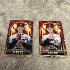 阪神タイガース グルメカード トレーディングカード