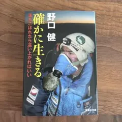 Item thumbnail for item a230f017-9dfe-4117-8b2e-d5a377d5ddd4