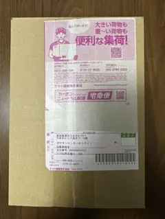 ポケモンセンター産 ニンジャスピナー完全未開封品！