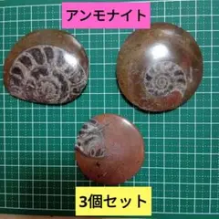 アンモライト