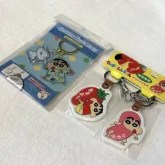 クレヨンしんちゃん アクリルキーホルダー2点セット