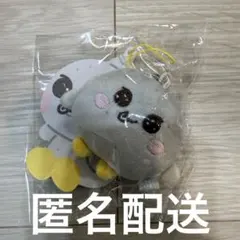 RIIZE ウンソク 10cm ドールキーリング ぬいぐるみ ライズ - メルカリ