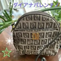 ☆DAIANA Valentino ☆✴︎ダイアナバレンチノ　バック