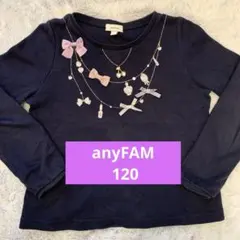 anyFAM 120