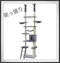 Item thumbnail for item 0e243b32-7dbb-46d6-be35-32c8805dbc17