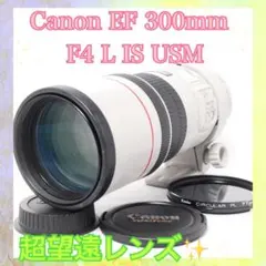 完全最終値下 極美品 EF300mm F4L IS USM 迷彩スパッタ2種付き