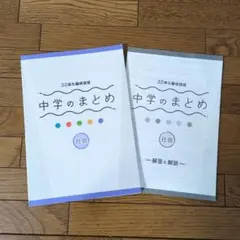 miomom様 リクエスト 2点 まとめ商品