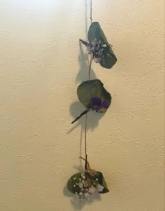 【期間限定】販売開始記念特別価格　ユーカリとスターチスのドライフラワーモビール