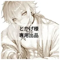 とかげ様 リクエスト 5点 まとめ商品