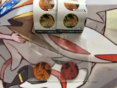 ポケモンコインコレクション 第6弾 メガリザードンY・ポカブ