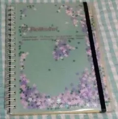 Item thumbnail for item 00ad3425-0e4d-4b97-9ccd-3c00e2495a42