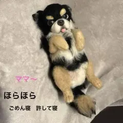 羊毛フェルト チワワ ごめん寝ポーズ 犬 ハンドメイド リアル