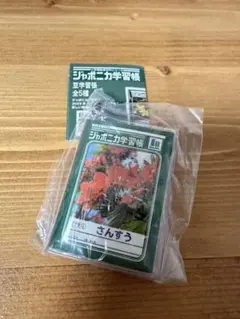 ジャポニカ学習帳 豆学習帳　さんすう/ガチャガチャ